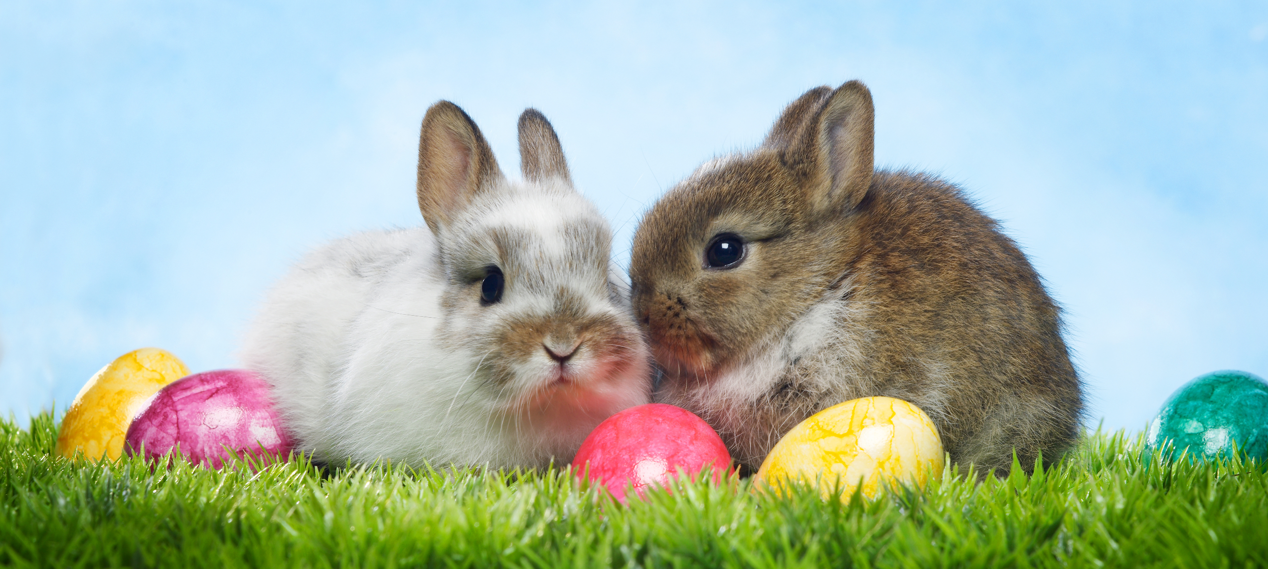 Hajdúszoboszló - Hunguest Hotel Aqua-Sol - Húsvéti hosszú hétvége