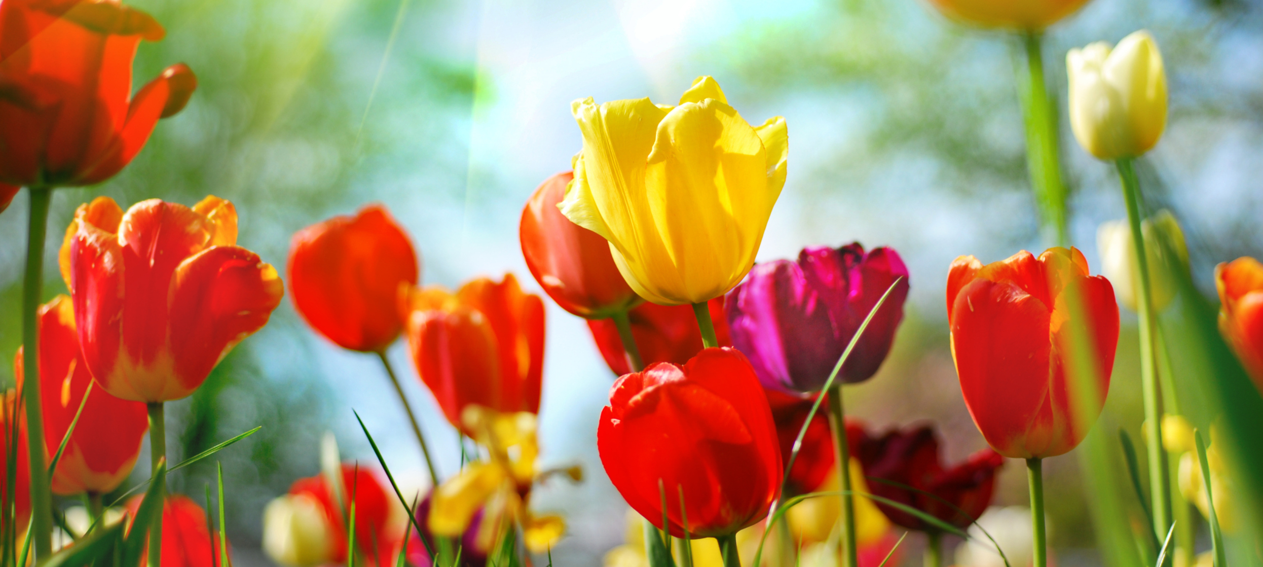 Eger - Hotel Eger & Park - Húsvét és tavaszi szünet Egerben